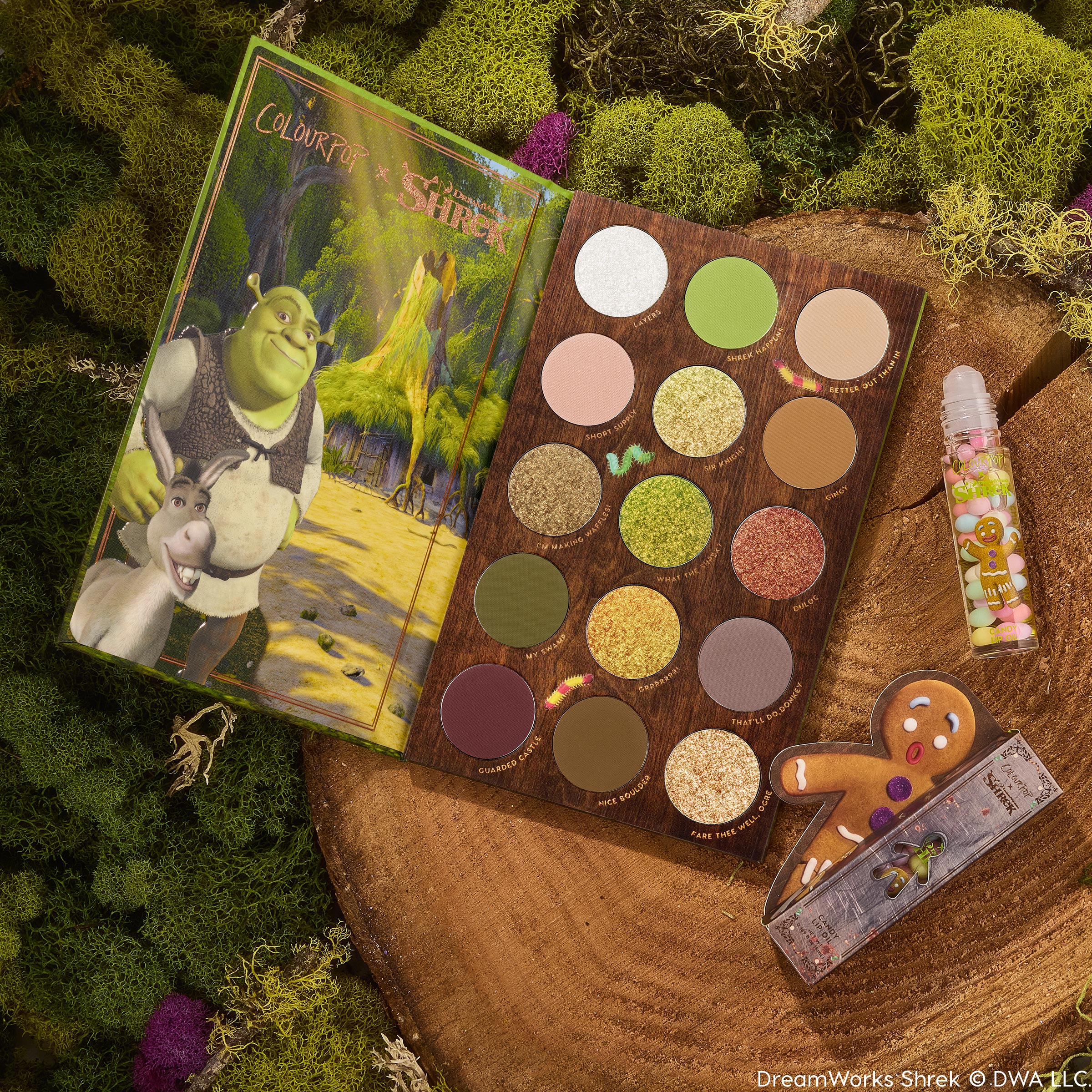 Shrek-Spress Yourself - Image 6